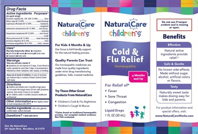 Cold &amp; Flu Relief Ctn (Naca0026 Cold   Flu Relief Ctn)